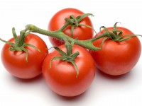 TOMATE