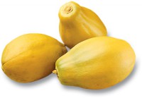 PAPAYA