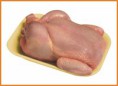 CARNE DE POLLO