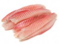PESCADO (TILAPIA)